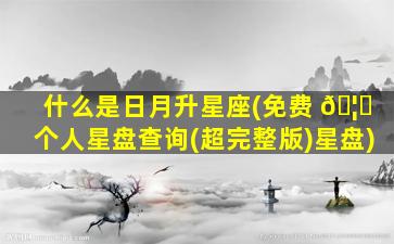 什么是日月升星座(免费 🦆 个人星盘查询(超完整版)星盘)